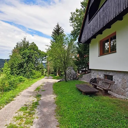 Forest House