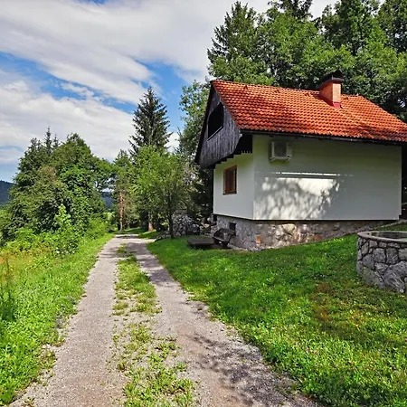 Forest House * Vrhnika