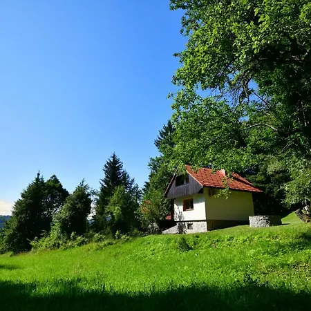 Сasa de vacaciones Forest House