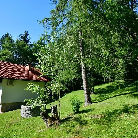 Сasa de vacaciones Forest House *