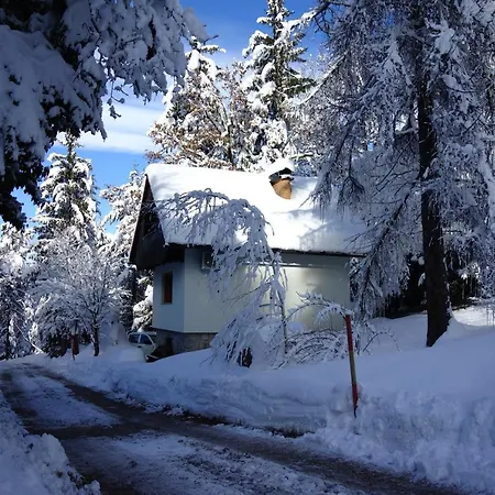 Forest House