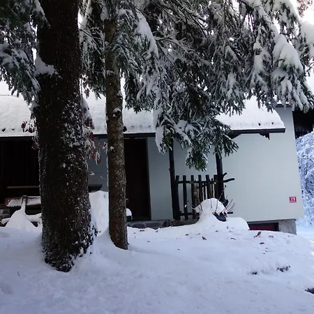 Forest House * Vrhnika